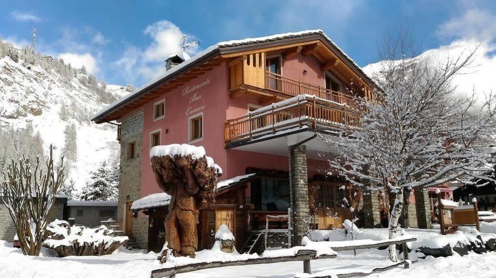 Hibou Chambres - Cogne Exterior foto